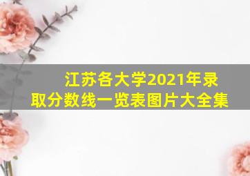 江苏各大学2021年录取分数线一览表图片大全集