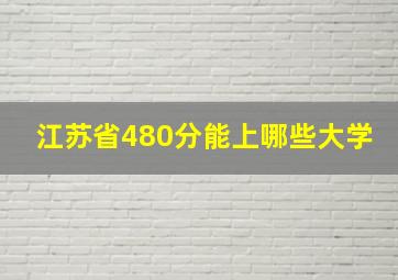 江苏省480分能上哪些大学