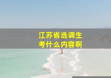 江苏省选调生考什么内容啊