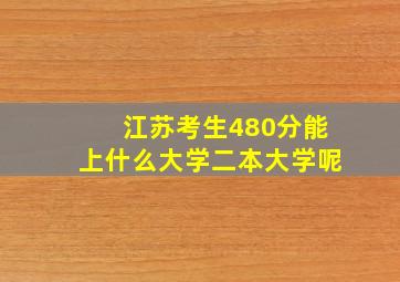 江苏考生480分能上什么大学二本大学呢