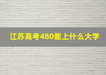 江苏高考480能上什么大学