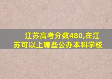 江苏高考分数480,在江苏可以上哪些公办本科学校