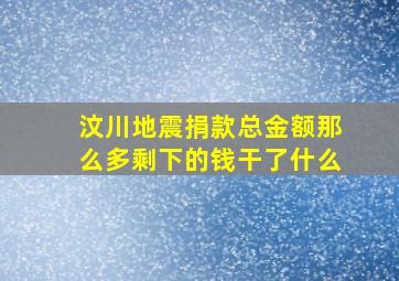 汶川地震捐款总金额那么多剩下的钱干了什么