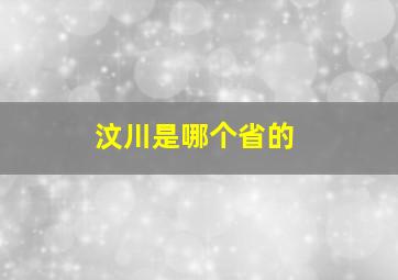 汶川是哪个省的