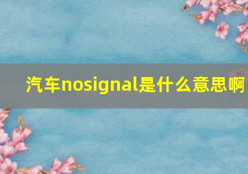 汽车nosignal是什么意思啊