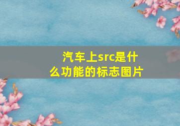 汽车上src是什么功能的标志图片