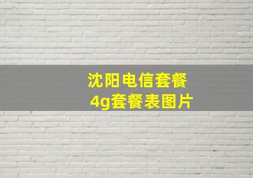 沈阳电信套餐4g套餐表图片