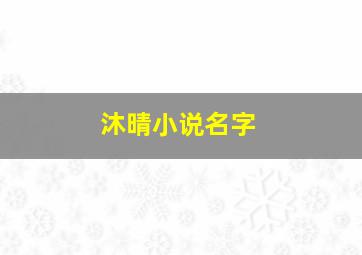 沐晴小说名字