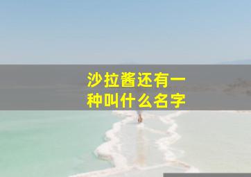 沙拉酱还有一种叫什么名字