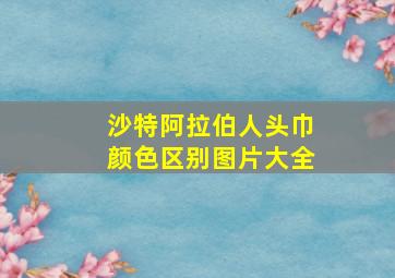 沙特阿拉伯人头巾颜色区别图片大全