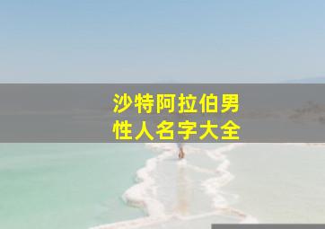 沙特阿拉伯男性人名字大全