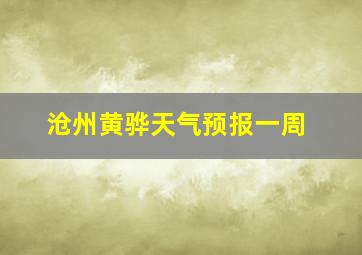 沧州黄骅天气预报一周