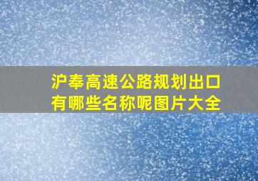 沪奉高速公路规划出口有哪些名称呢图片大全