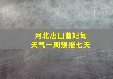 河北唐山曹妃甸天气一周预报七天