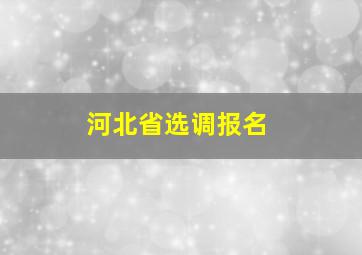 河北省选调报名