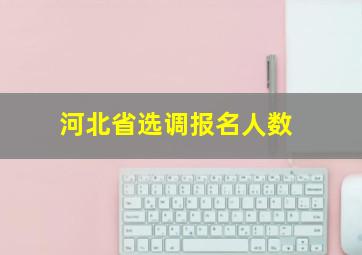 河北省选调报名人数