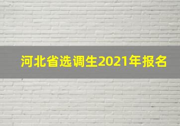 河北省选调生2021年报名