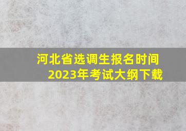 河北省选调生报名时间2023年考试大纲下载