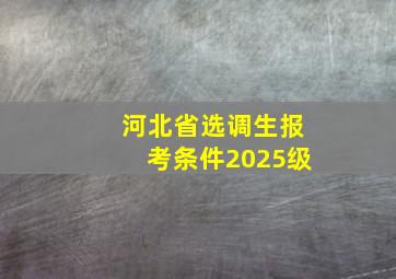 河北省选调生报考条件2025级