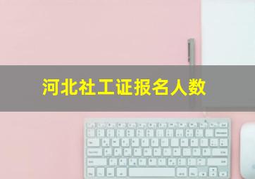 河北社工证报名人数