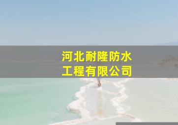 河北耐隆防水工程有限公司