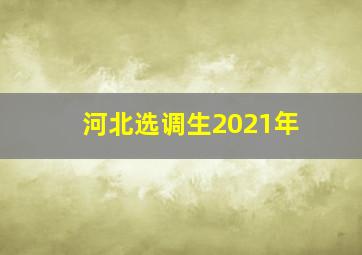 河北选调生2021年