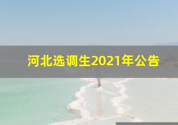 河北选调生2021年公告