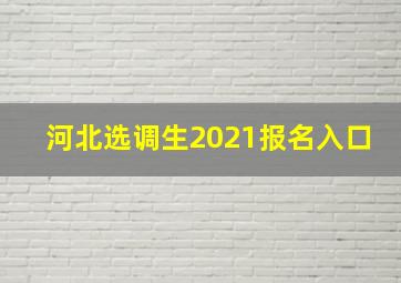 河北选调生2021报名入口