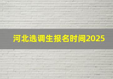 河北选调生报名时间2025