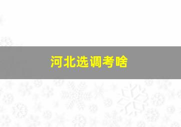 河北选调考啥