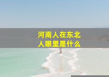 河南人在东北人眼里是什么