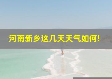 河南新乡这几天天气如何!