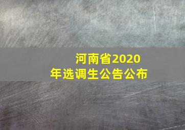 河南省2020年选调生公告公布