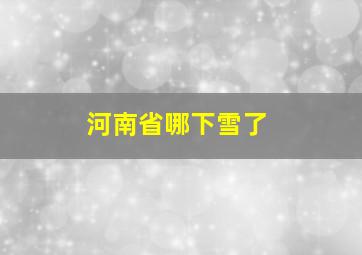 河南省哪下雪了