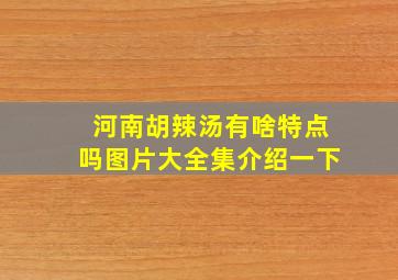 河南胡辣汤有啥特点吗图片大全集介绍一下