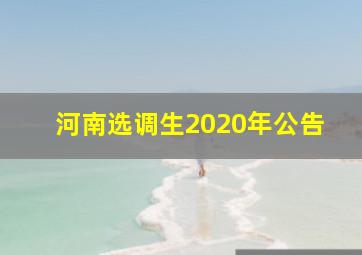 河南选调生2020年公告