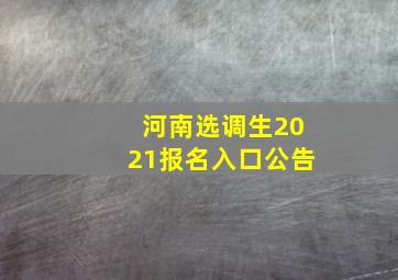 河南选调生2021报名入口公告