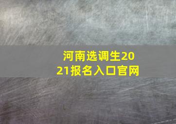 河南选调生2021报名入口官网