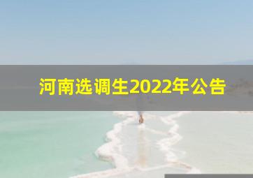 河南选调生2022年公告