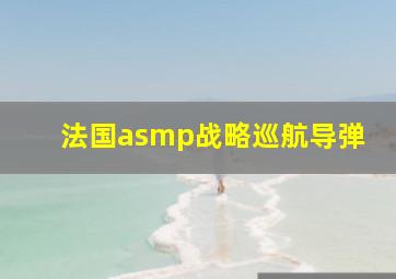 法国asmp战略巡航导弹