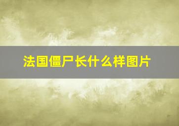 法国僵尸长什么样图片