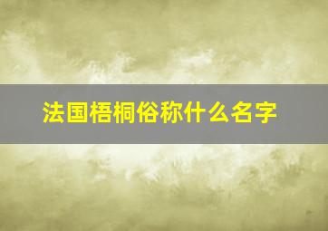 法国梧桐俗称什么名字