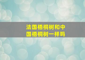 法国梧桐树和中国梧桐树一样吗