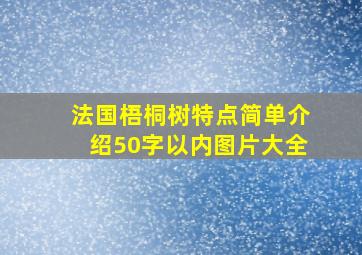 法国梧桐树特点简单介绍50字以内图片大全