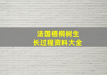 法国梧桐树生长过程资料大全