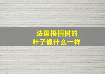 法国梧桐树的叶子像什么一样