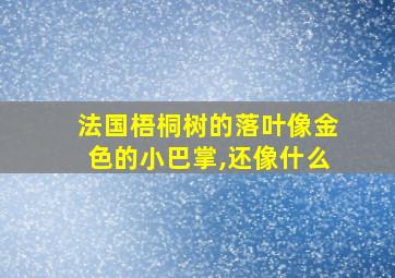 法国梧桐树的落叶像金色的小巴掌,还像什么