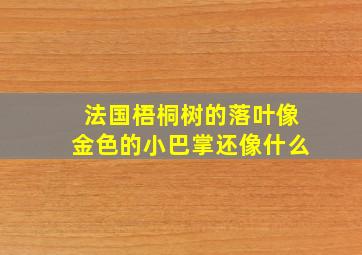 法国梧桐树的落叶像金色的小巴掌还像什么