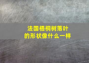 法国梧桐树落叶的形状像什么一样