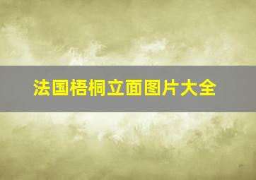 法国梧桐立面图片大全